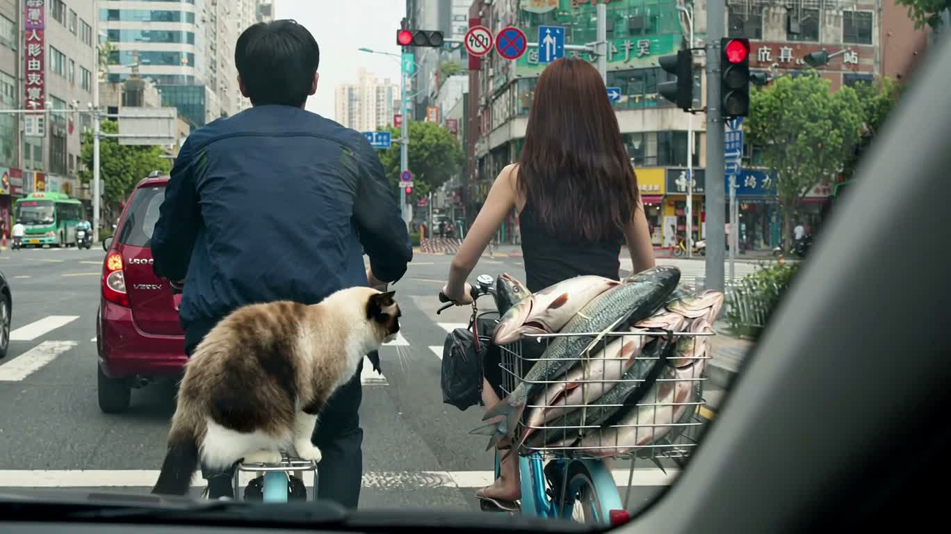 红灯下布偶猫偷鱼未遂 — AI video creation