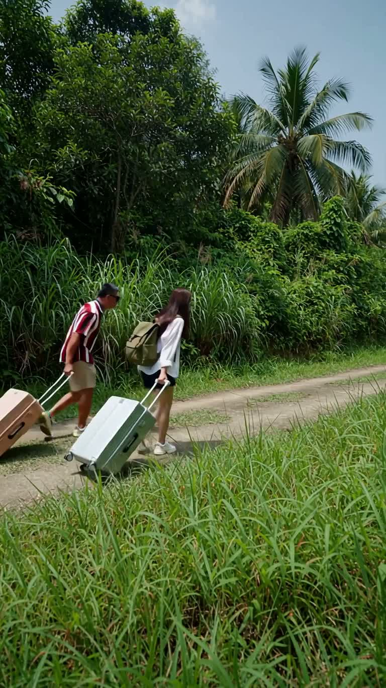 亚热带森林行旅