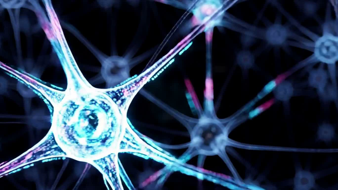 神经网络中的全息产品发布