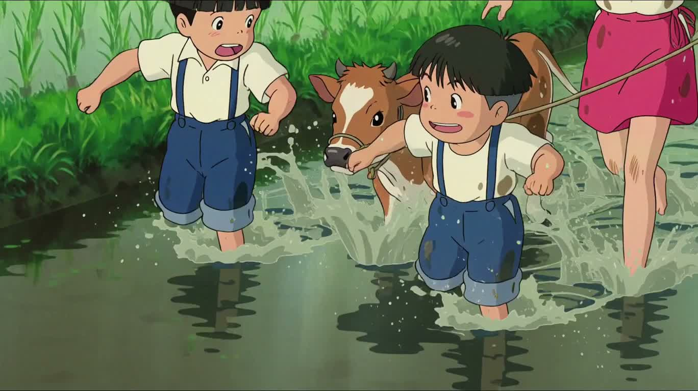 Đuổi trâu qua ruộng lúa sau mưa
