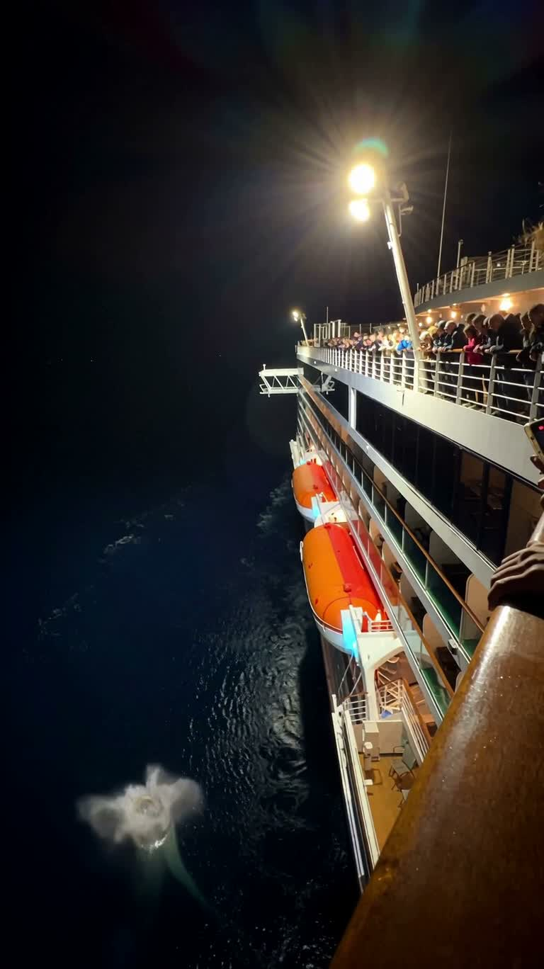 夜航邮轮遭遇巨型触手