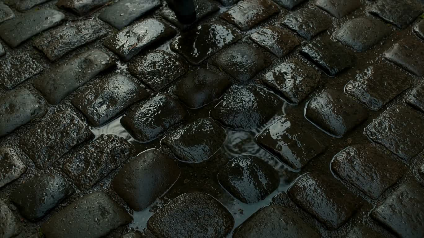 雨后湿润石板路 — AI video prompt