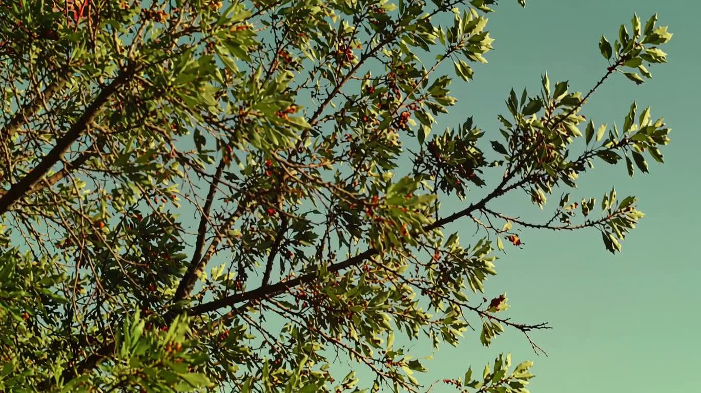 Colorful Liquid Wind Through Branches and Leaves — AI video creation