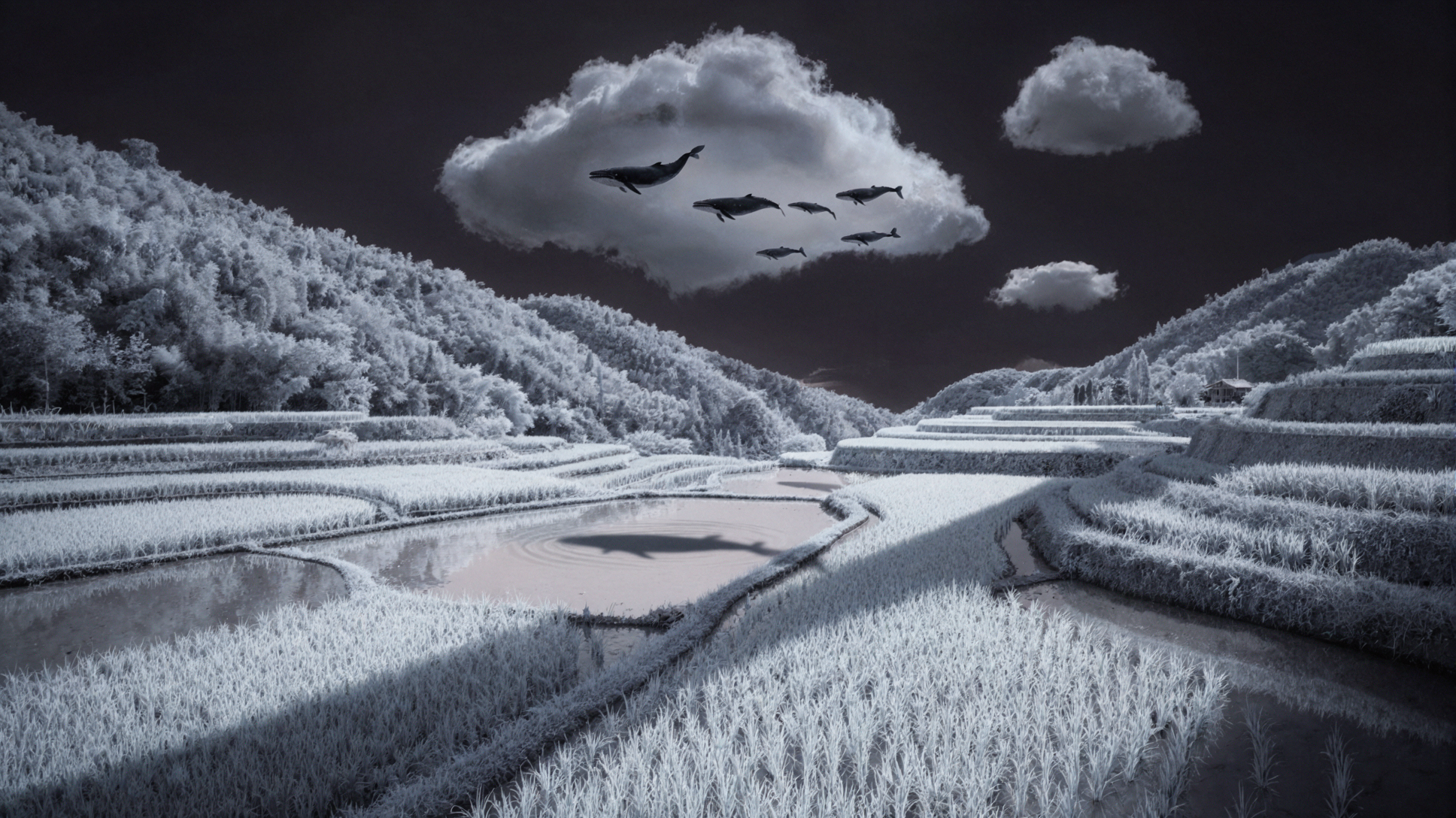 구름고래의 이동 · 적외선 사진 — AI image creation