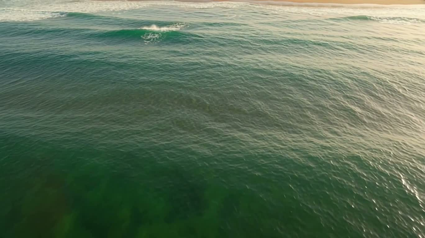 Sea Dream Desert