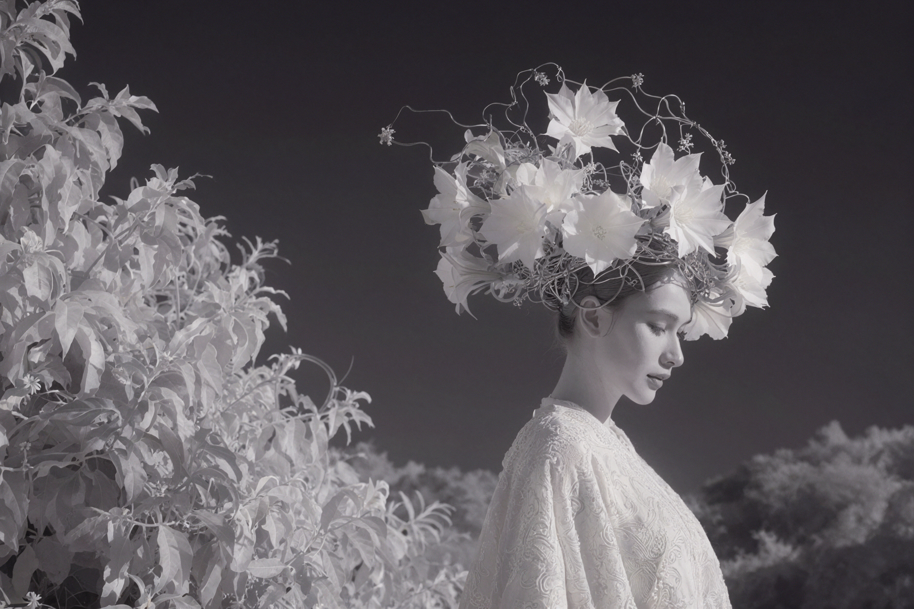 Moonlight Crown · Infrared Photography