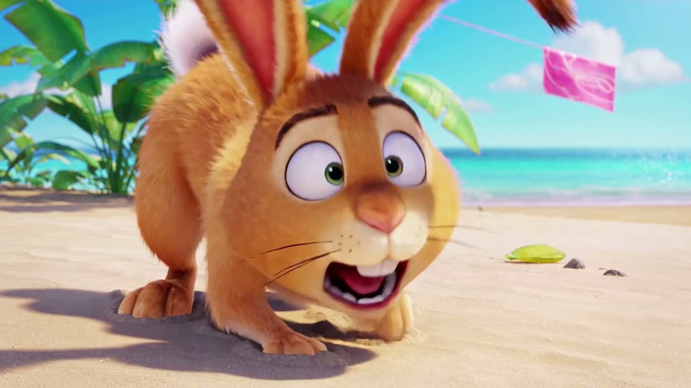 海滩失衡兔