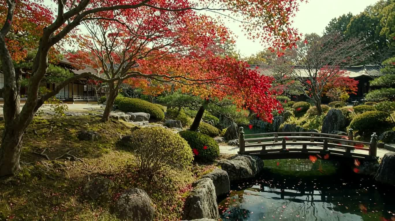Khu vườn Nhật yên tĩnh mùa thu