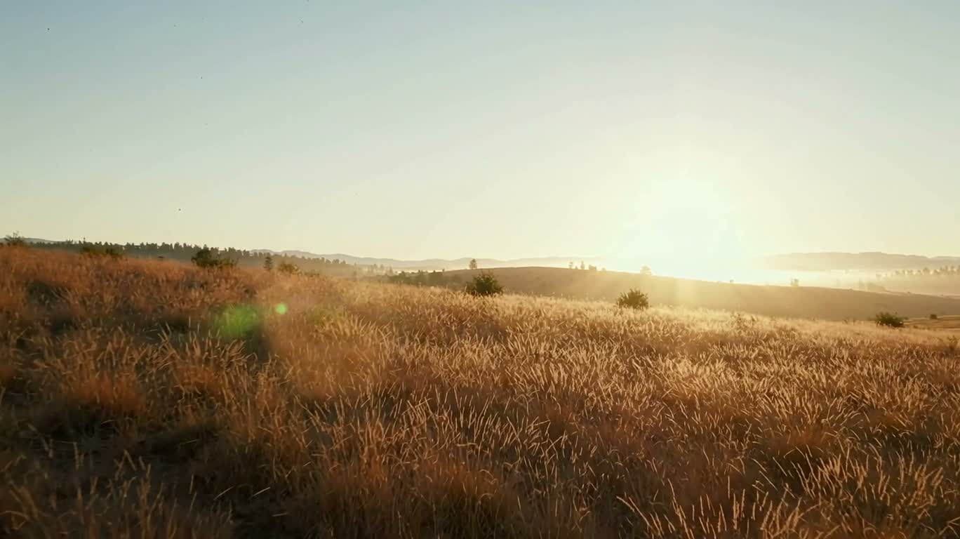 Свет и тень на сухой равнине — AI video creation