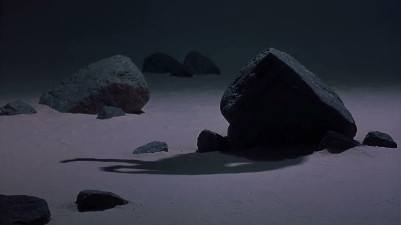 Shadowed Wasteland