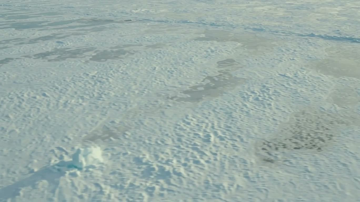 北极海冰裂隙
