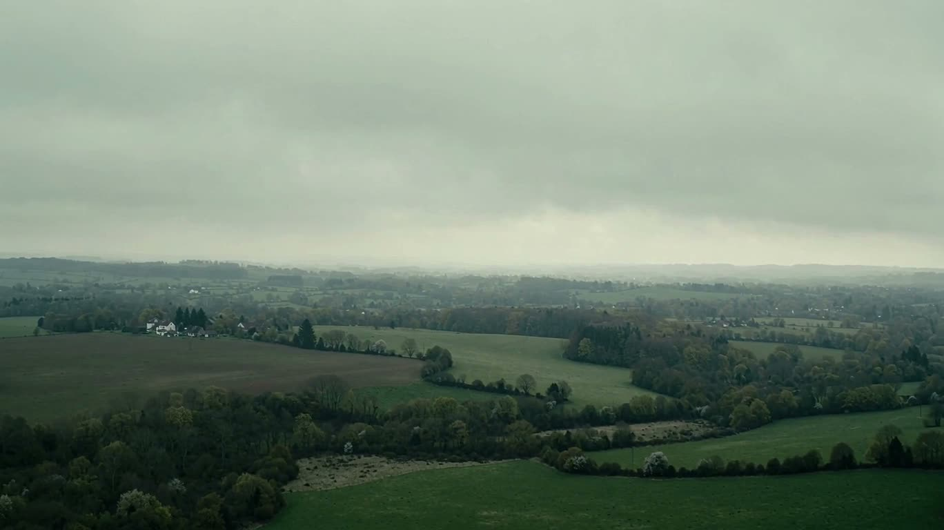 Étendue sauvage aux tons gris sous un ciel couvert — AI video creation