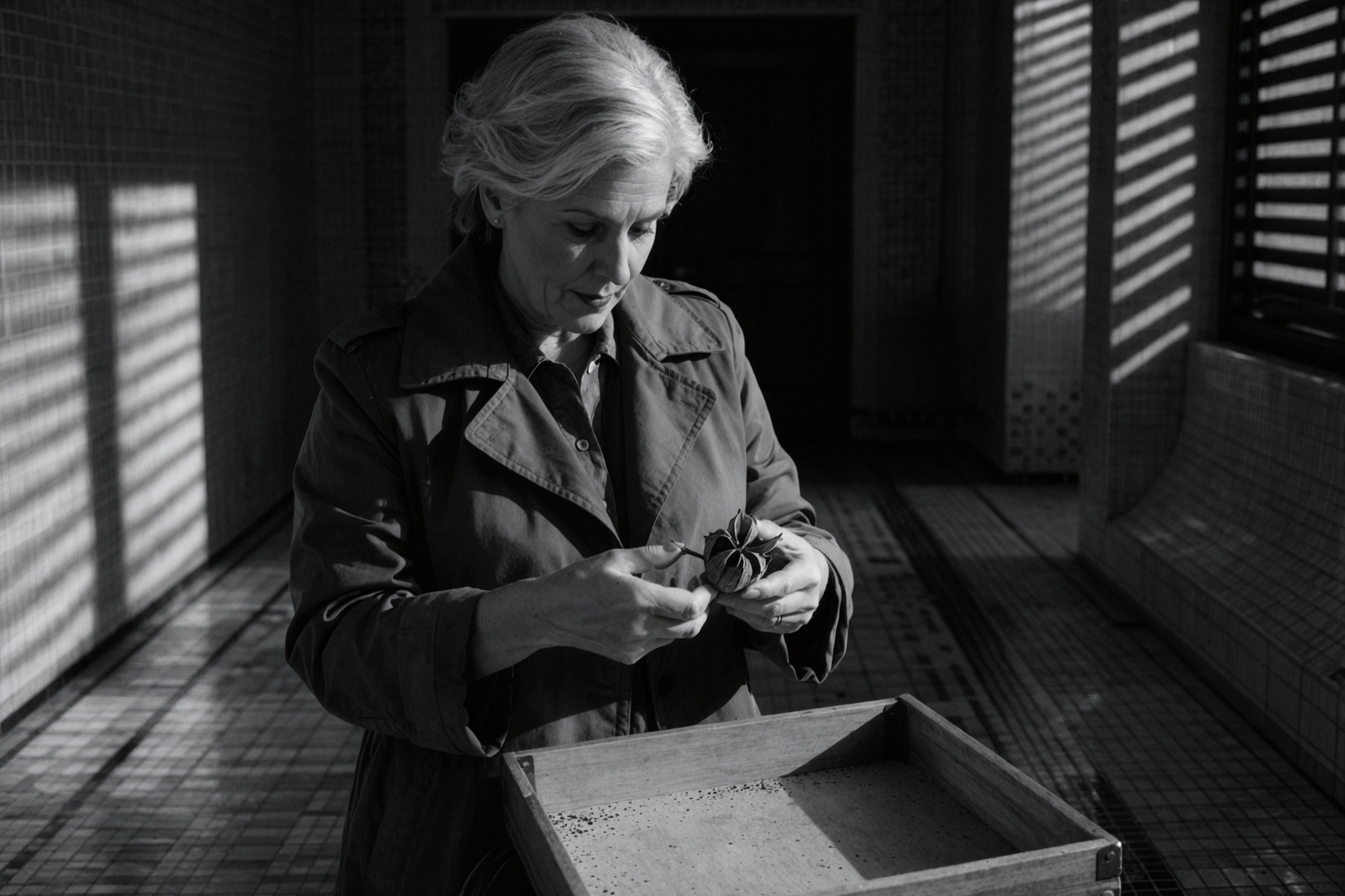 Silver-Haired Adult Woman Botanist · Seeds in Flight · Film Noir — AI image creation