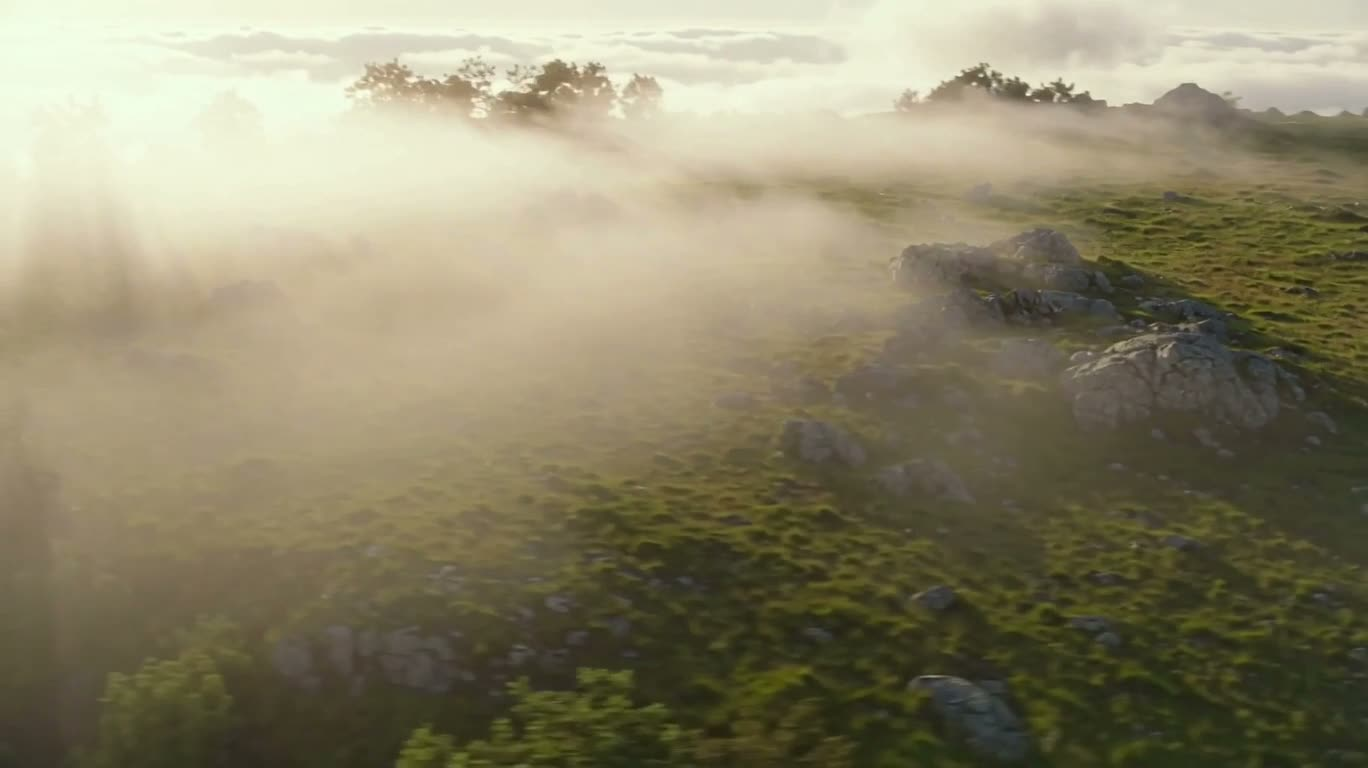 Île suspendue dans la mer de brume