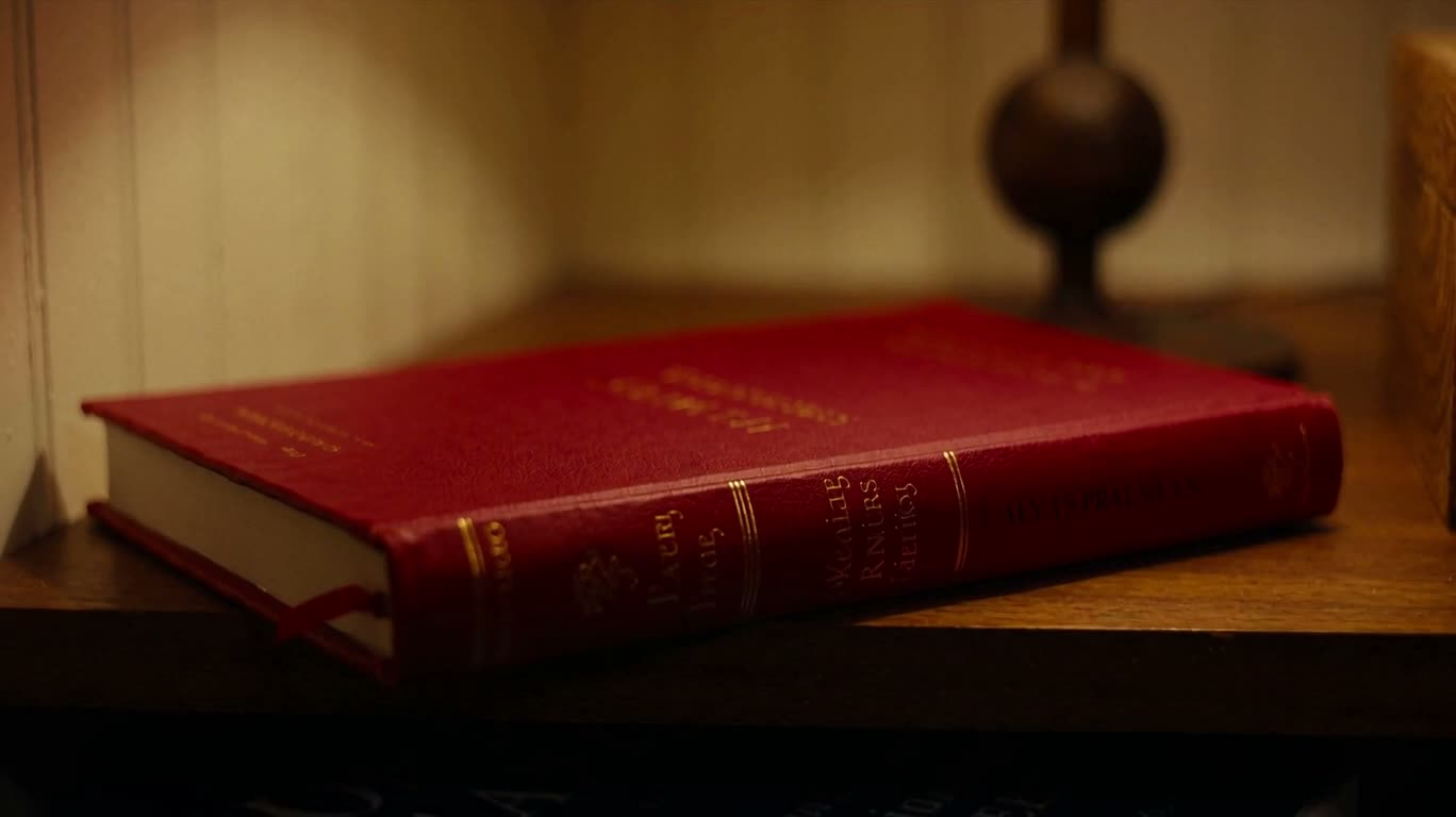 Livres rouges et bleus dans le coin lecture — AI video creation