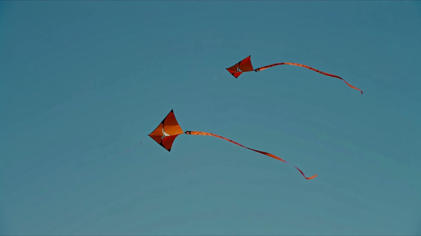 Le cerf-volant orange vole haut — AI video creation