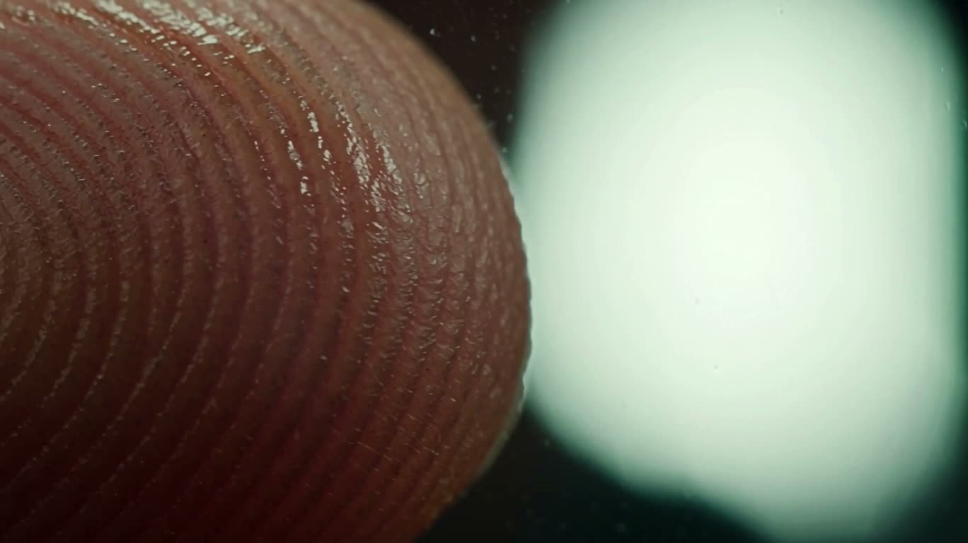 Micro-paysage d'empreintes digitales