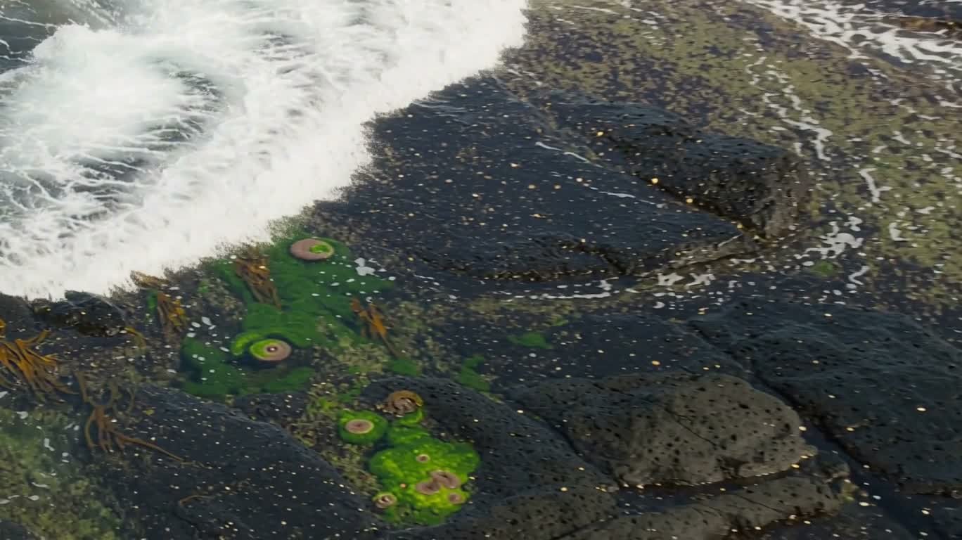 火山海岸の潮汐 — AI video creation