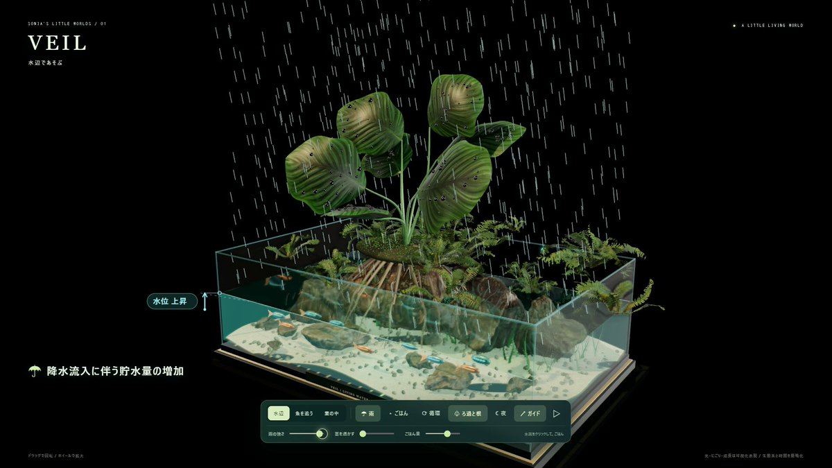 植物生理3D水族箱式可视化