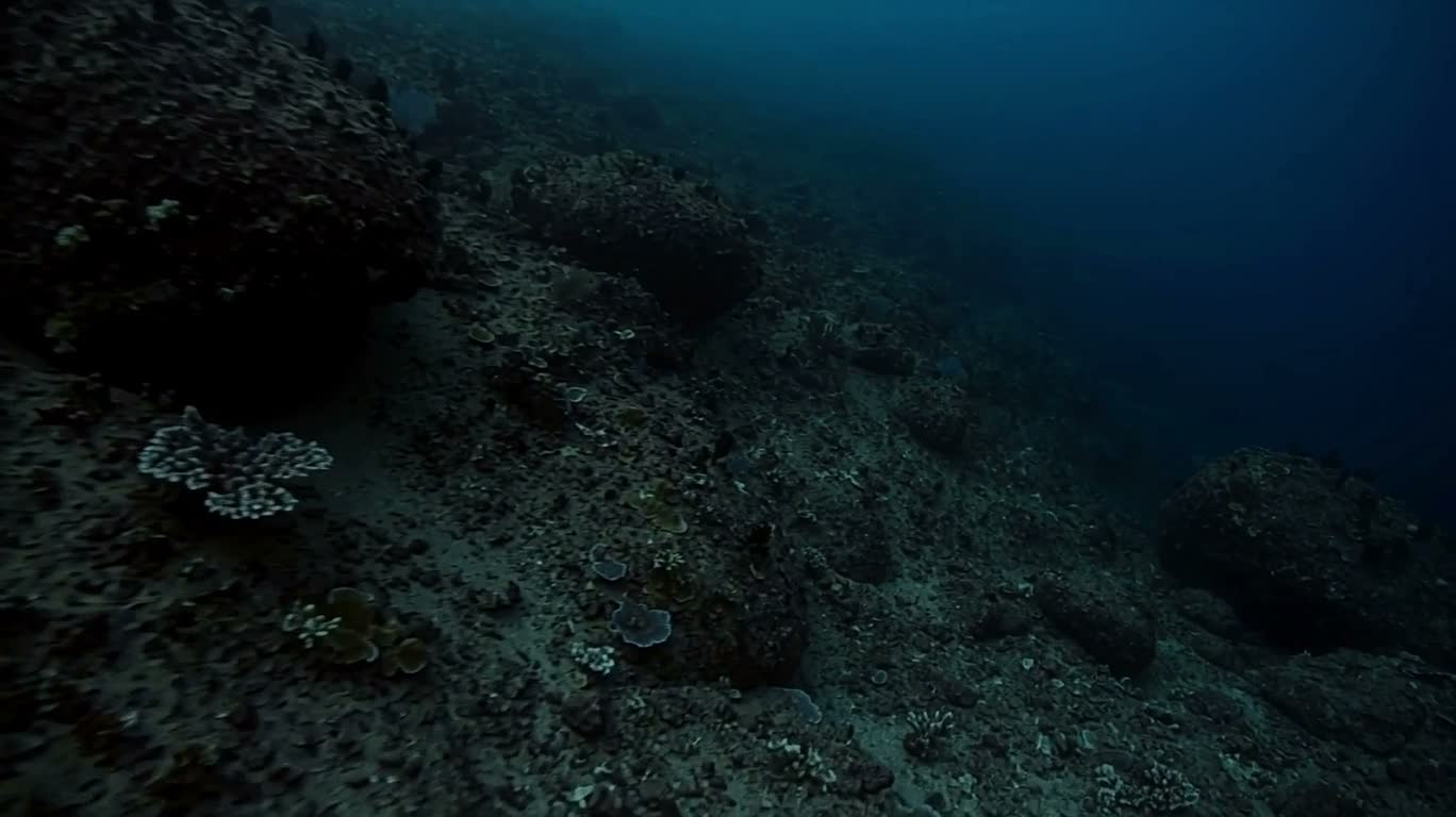 深海海溝 — AI video creation