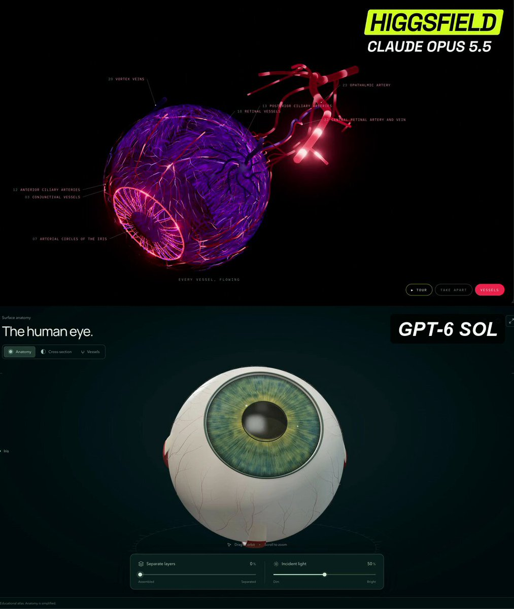 交互式3D眼球解剖模型对比 — AI video creation