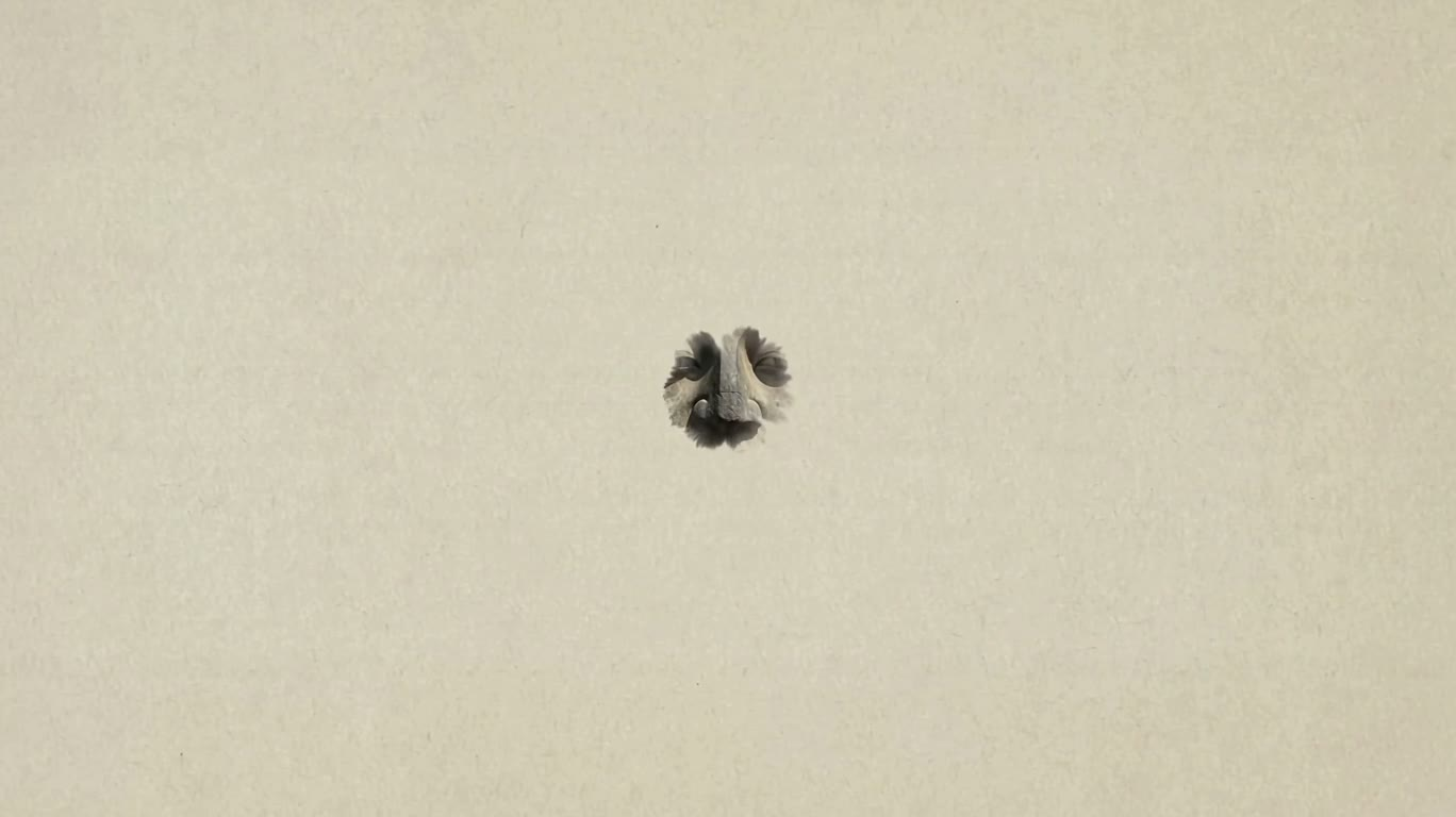Bouddha de pierre à l'encre