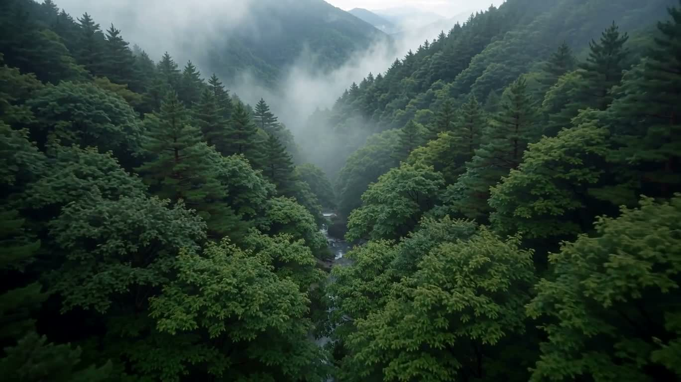穿越丛林溪流,发现隐秘山谷