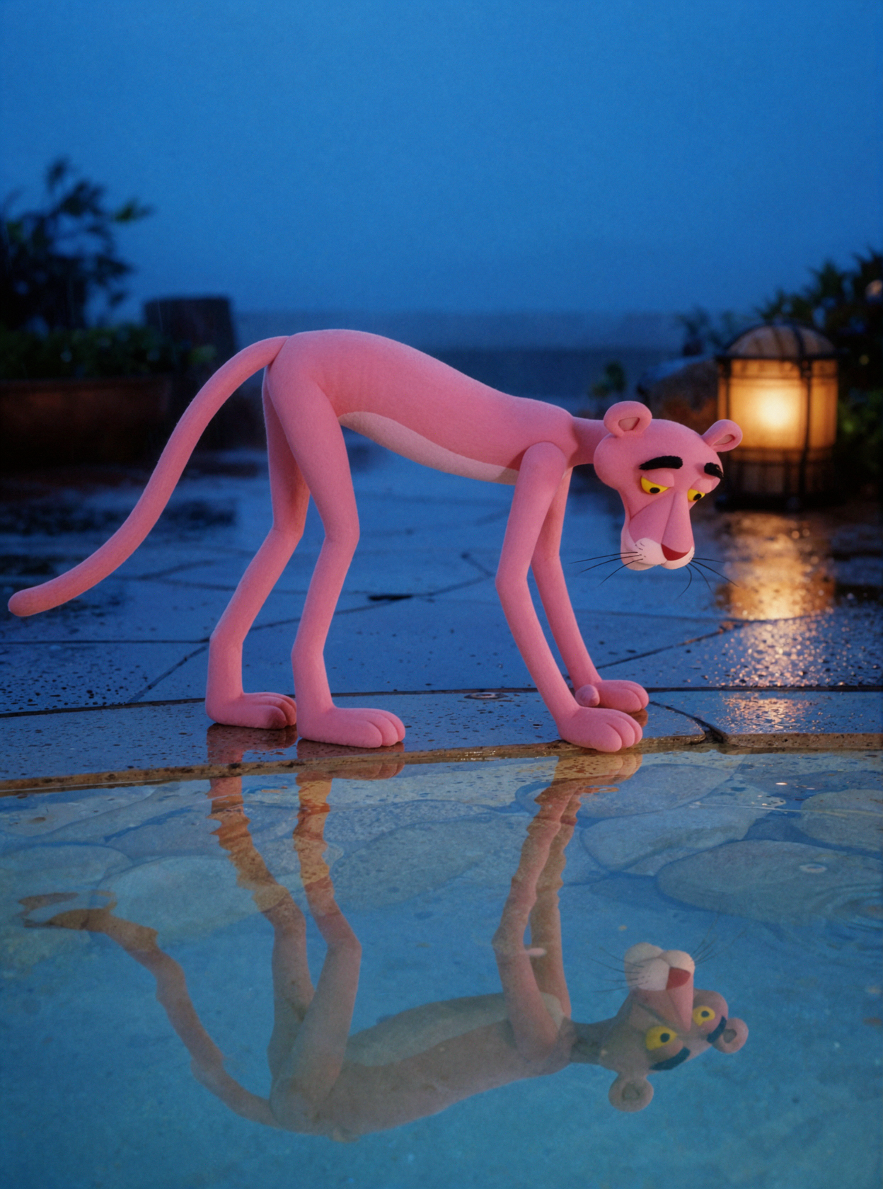 Pink Panther · Gazing into the Water Mirror · Blue Hour
