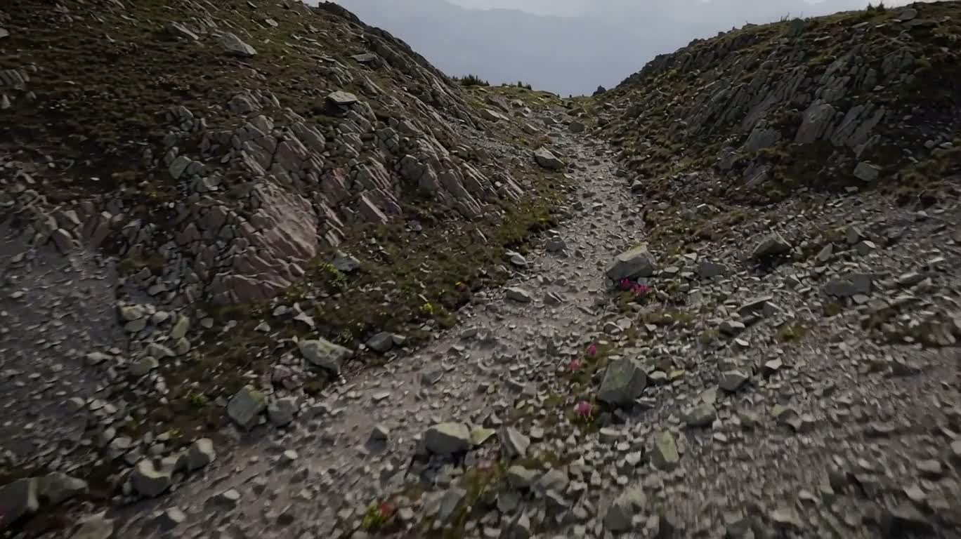 风蚀山隘与高山花丛
