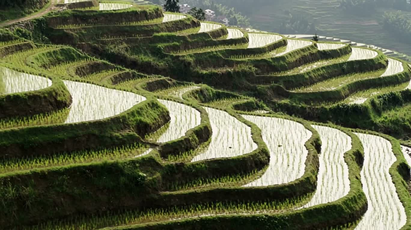 山间水田