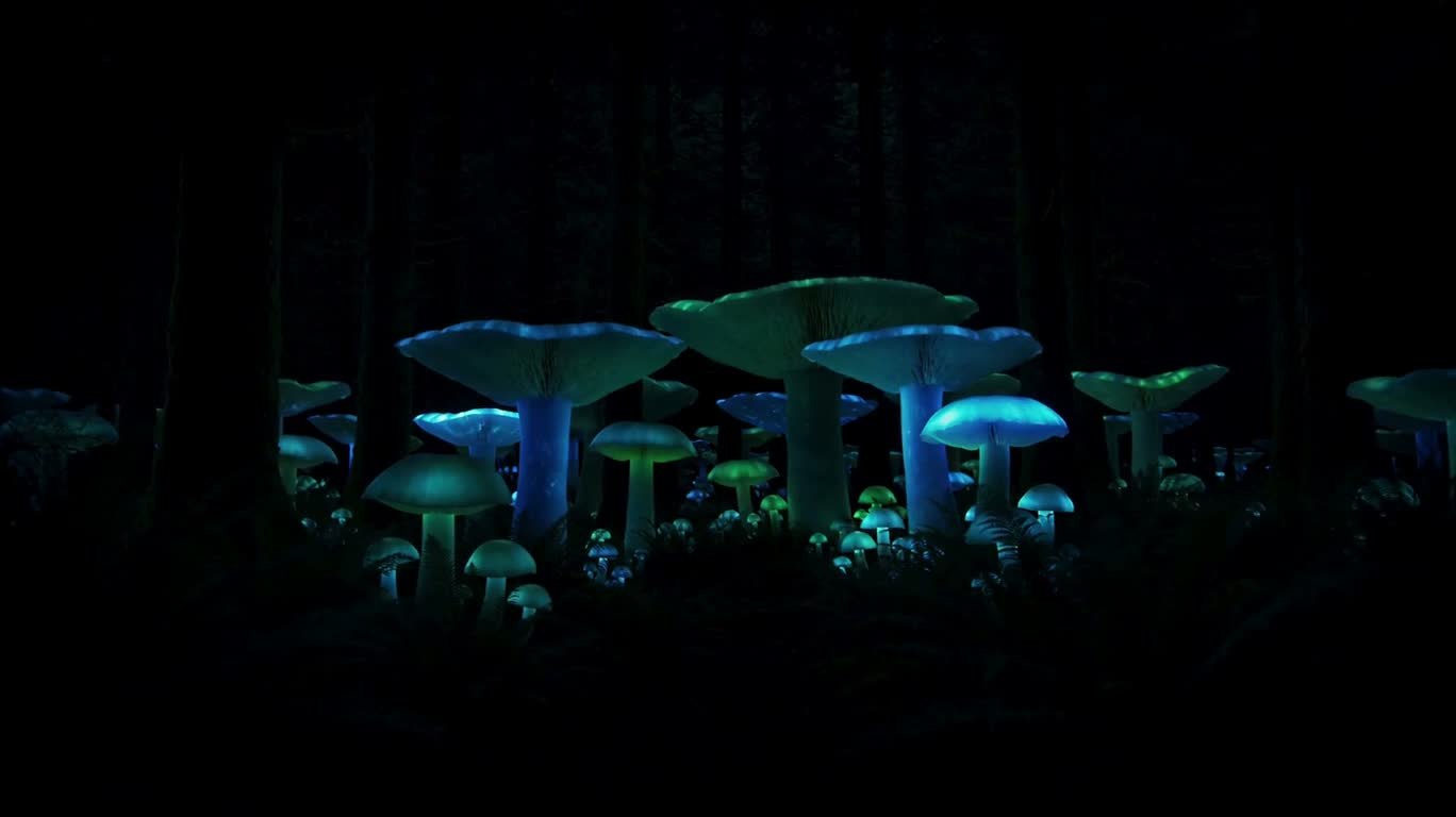 Glowing Blue Mushroom Forest — AI video creation
