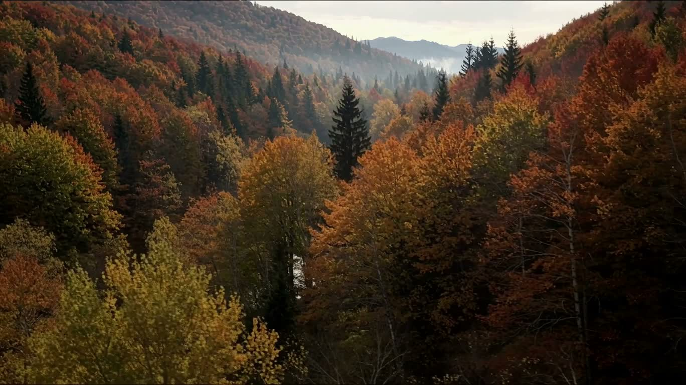 深秋山谷与蜿蜒河流