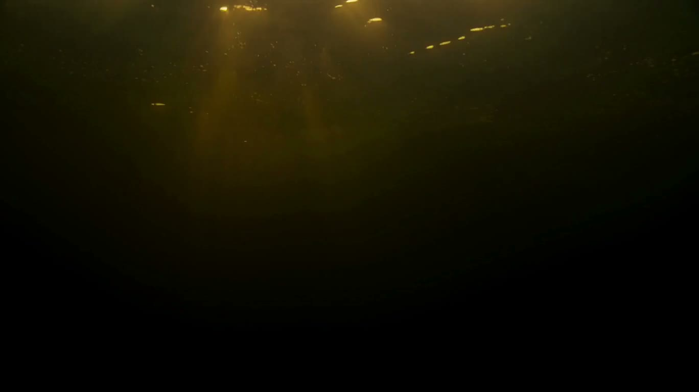 Nile Dusk in One Take — AI video creation