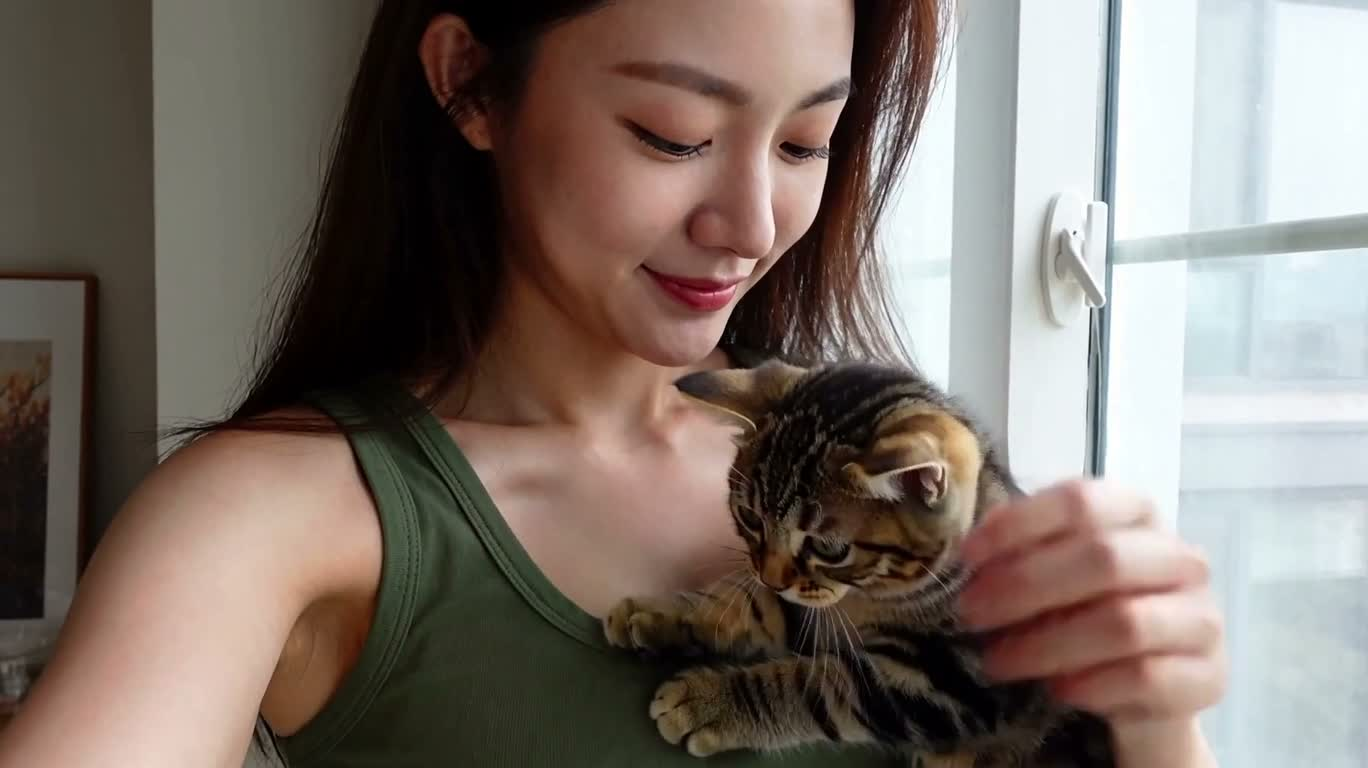小猫抢发圈，直扑镜头