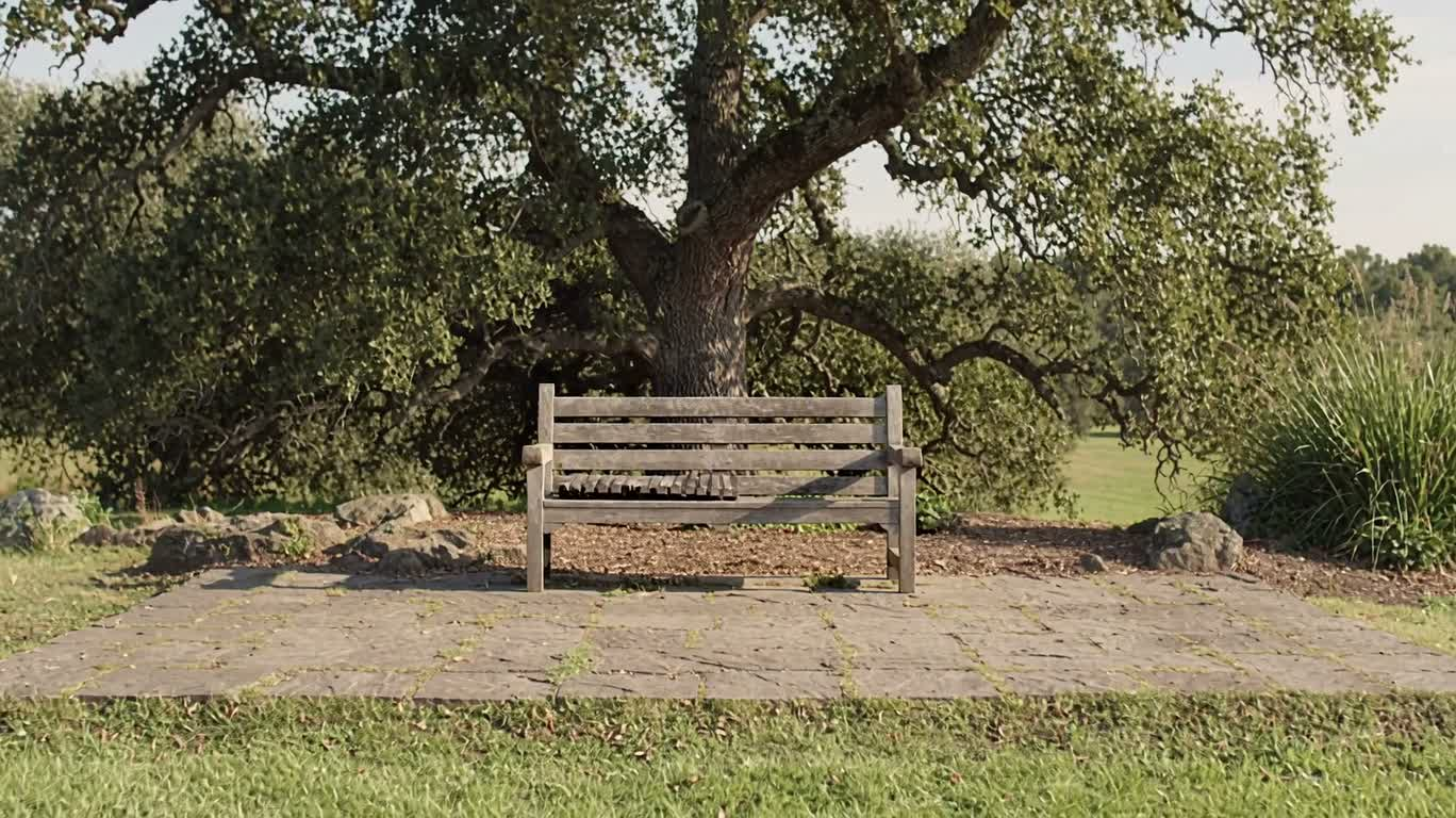 Bench and Metal Chair Beneath the Oak