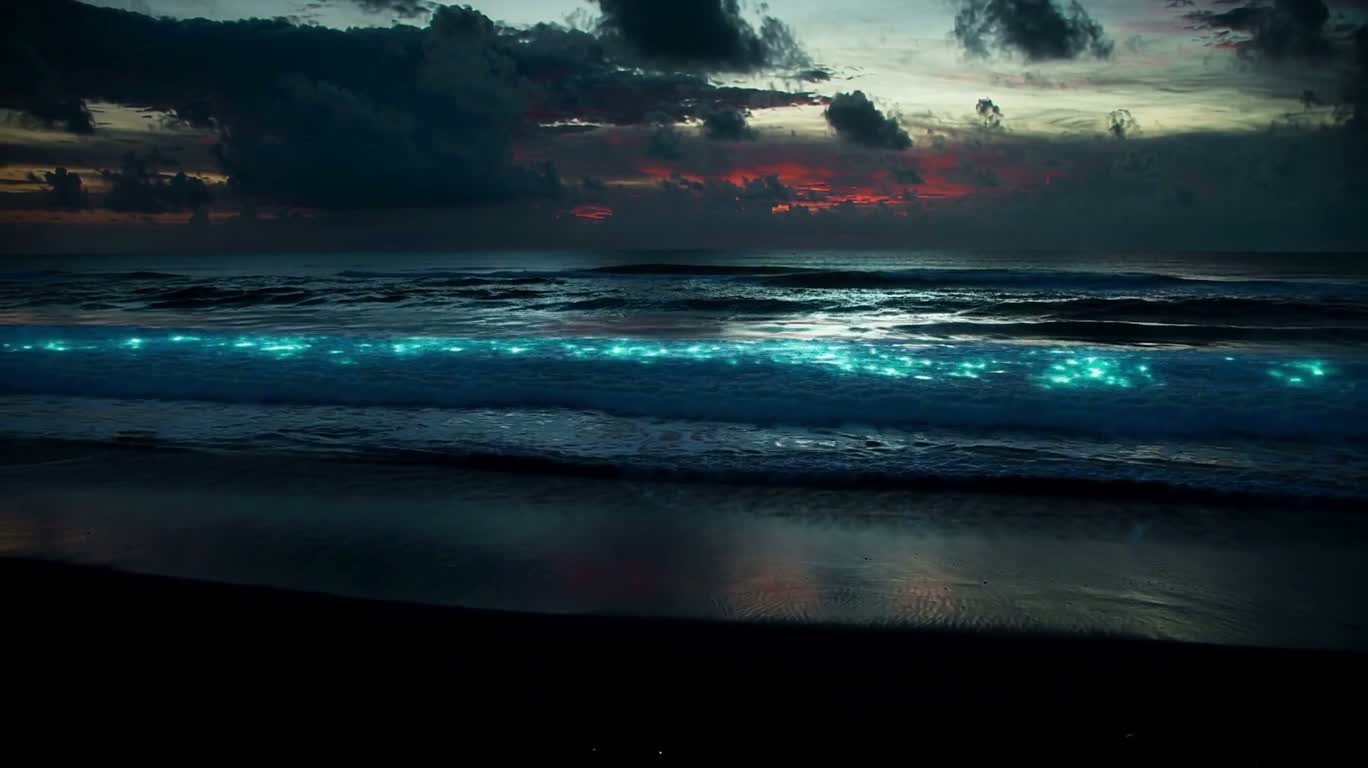 幽光黑沙海岸