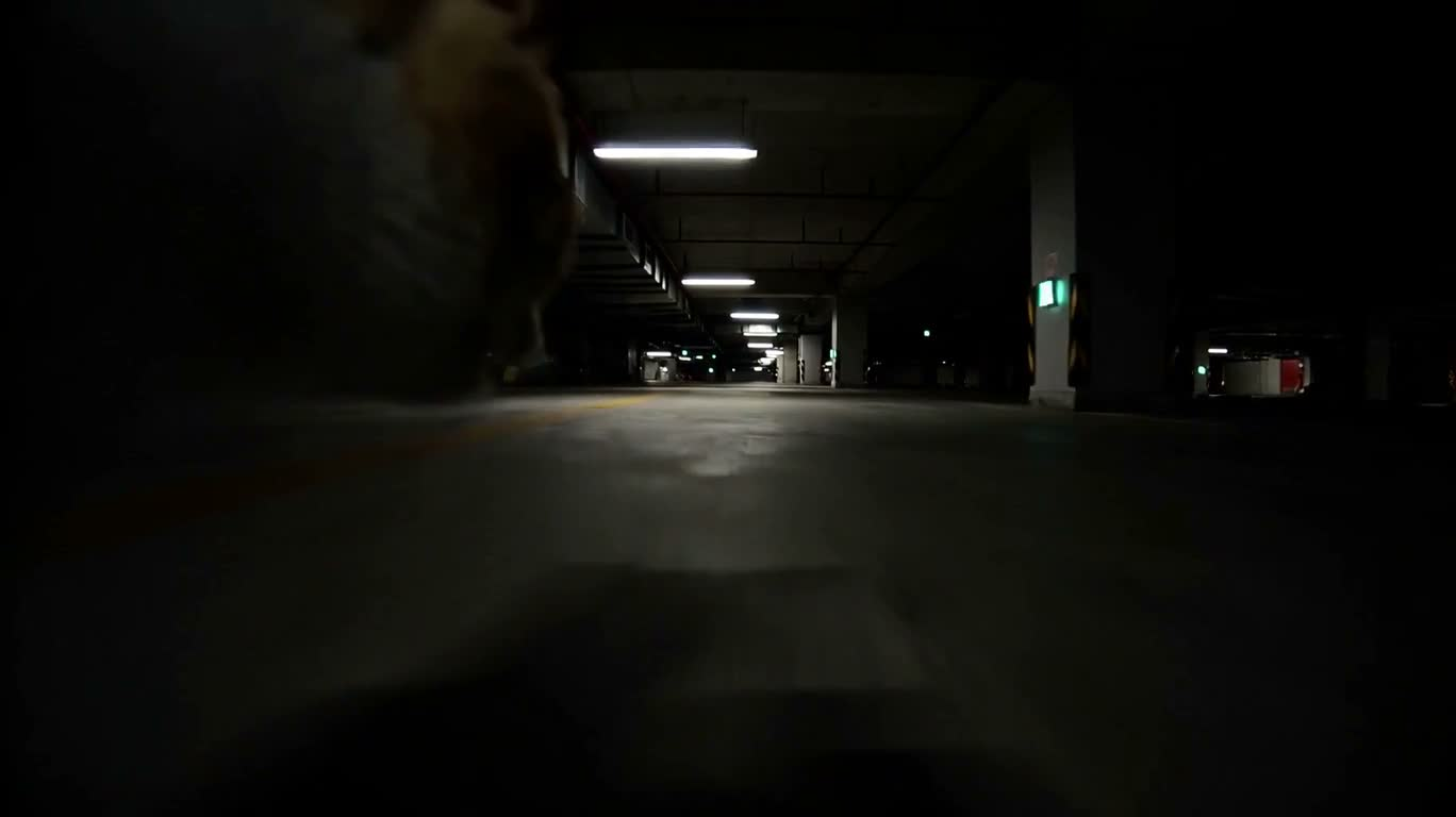 地下车库猫咪贴身追踪 — AI video creation