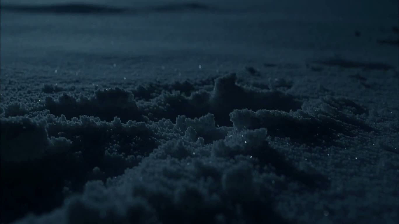 月下の雪原 — AI video creation