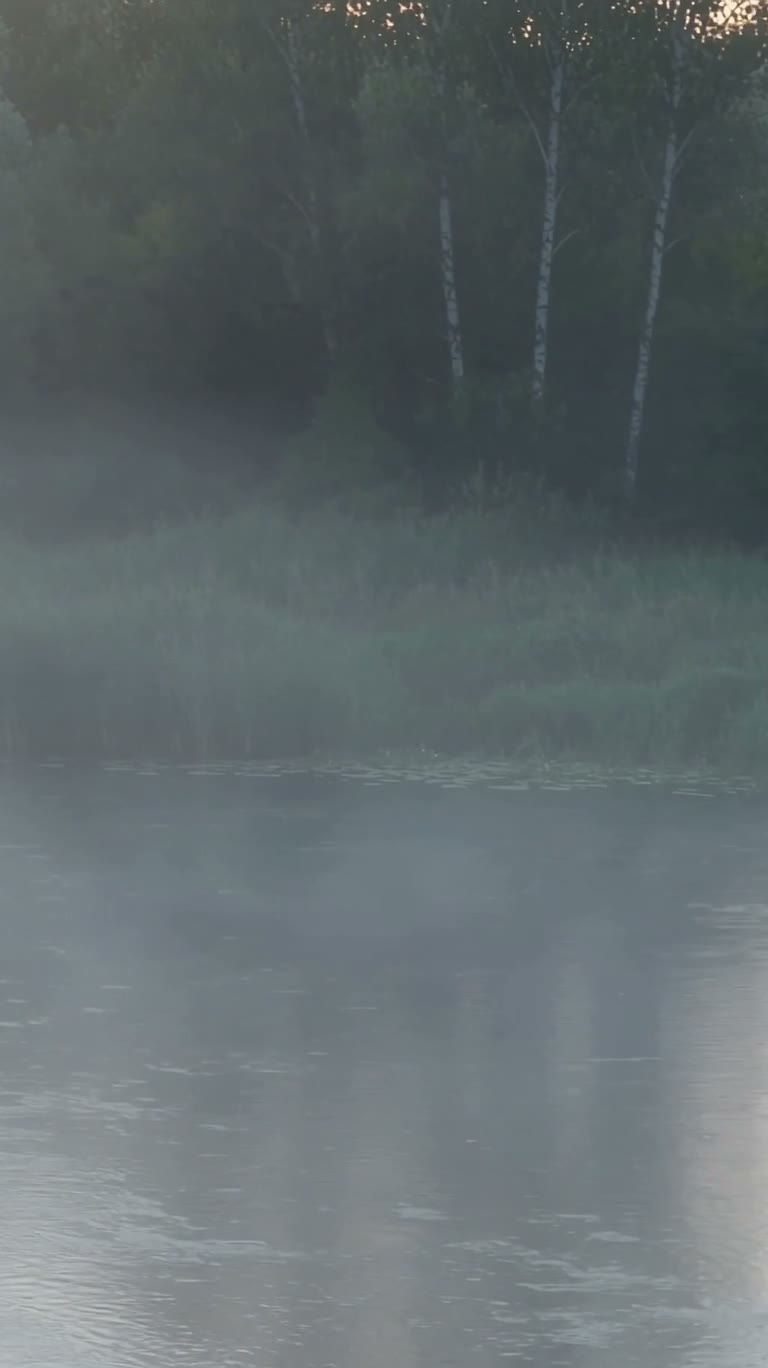 晨雾静河
