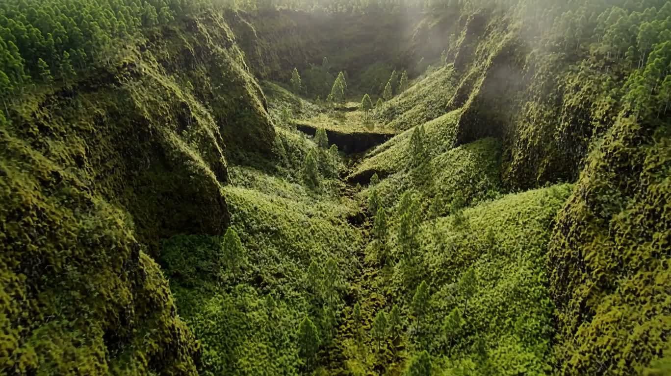 火山口中的隐秘绿洲