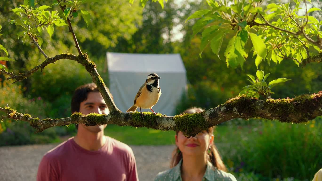 Les chants d'oiseaux deviennent des bulles — AI video creation