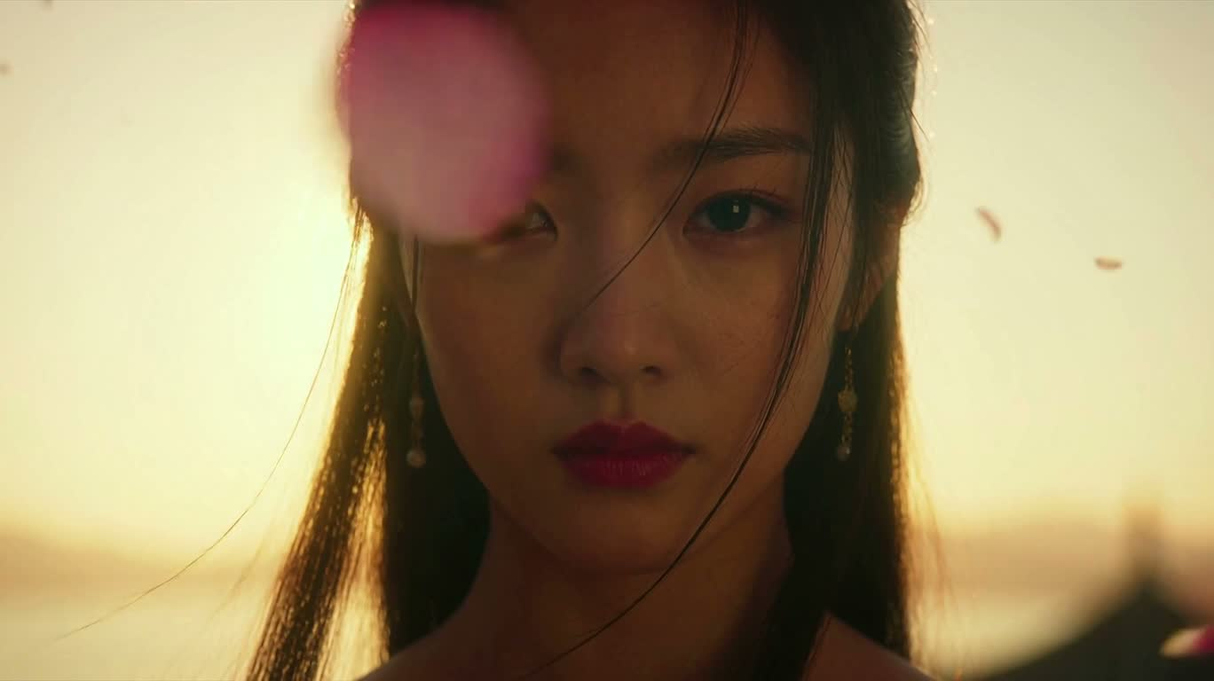 Cánh sen phản chiếu ánh mặt trời