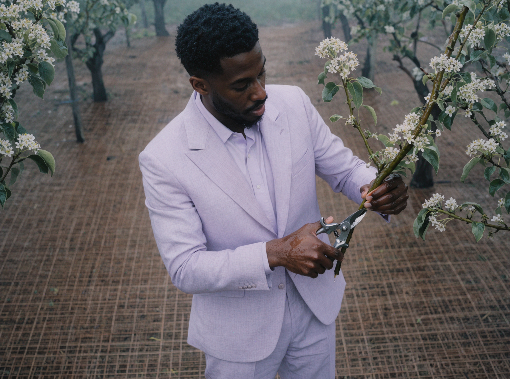 Floriste africain adulte · Taille sous la rosée · Négatif couleur