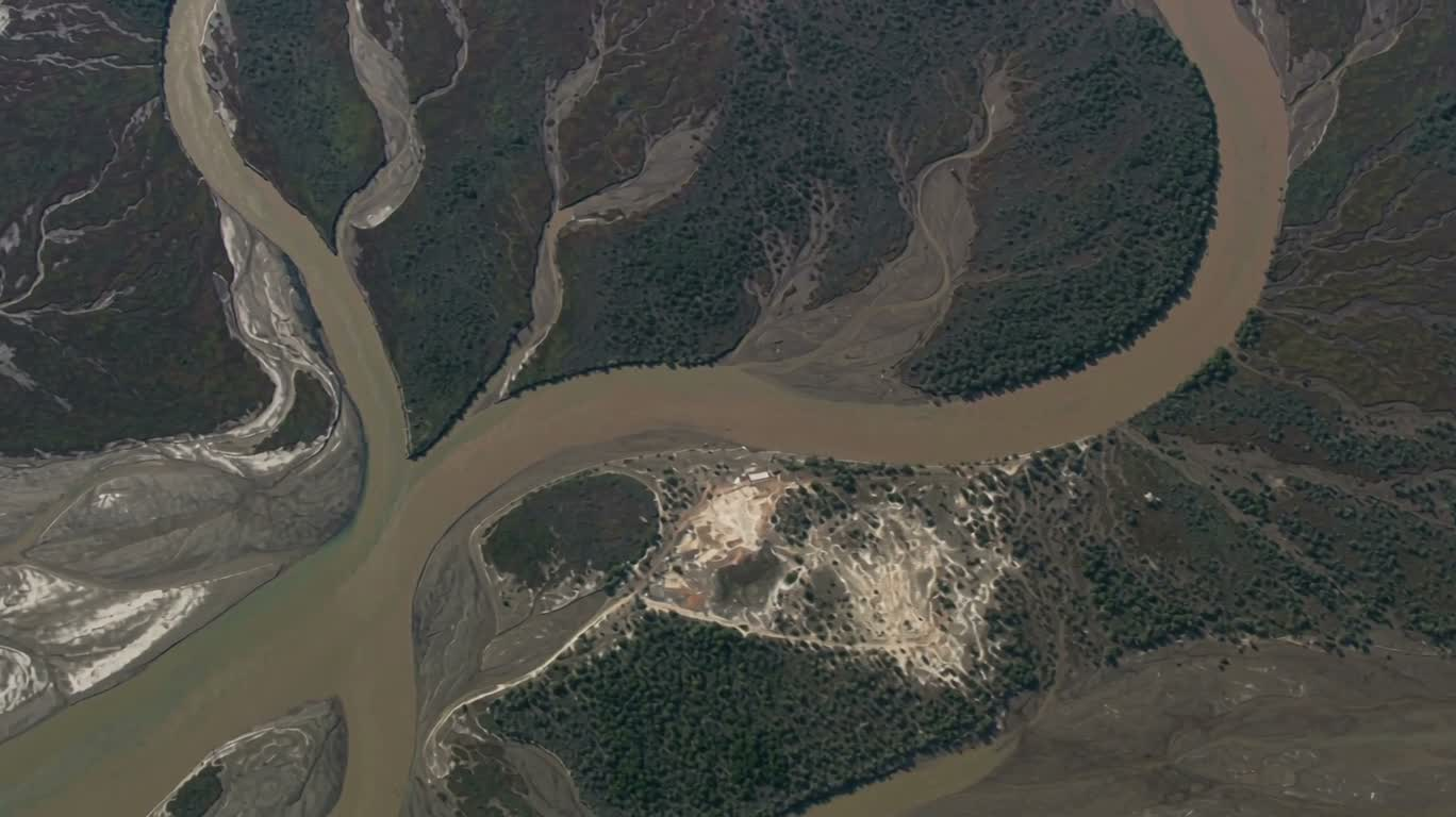 河口水网