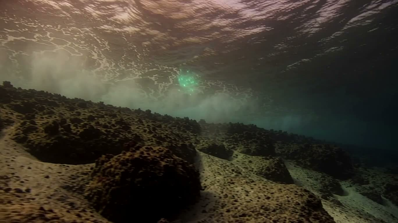 深海光影