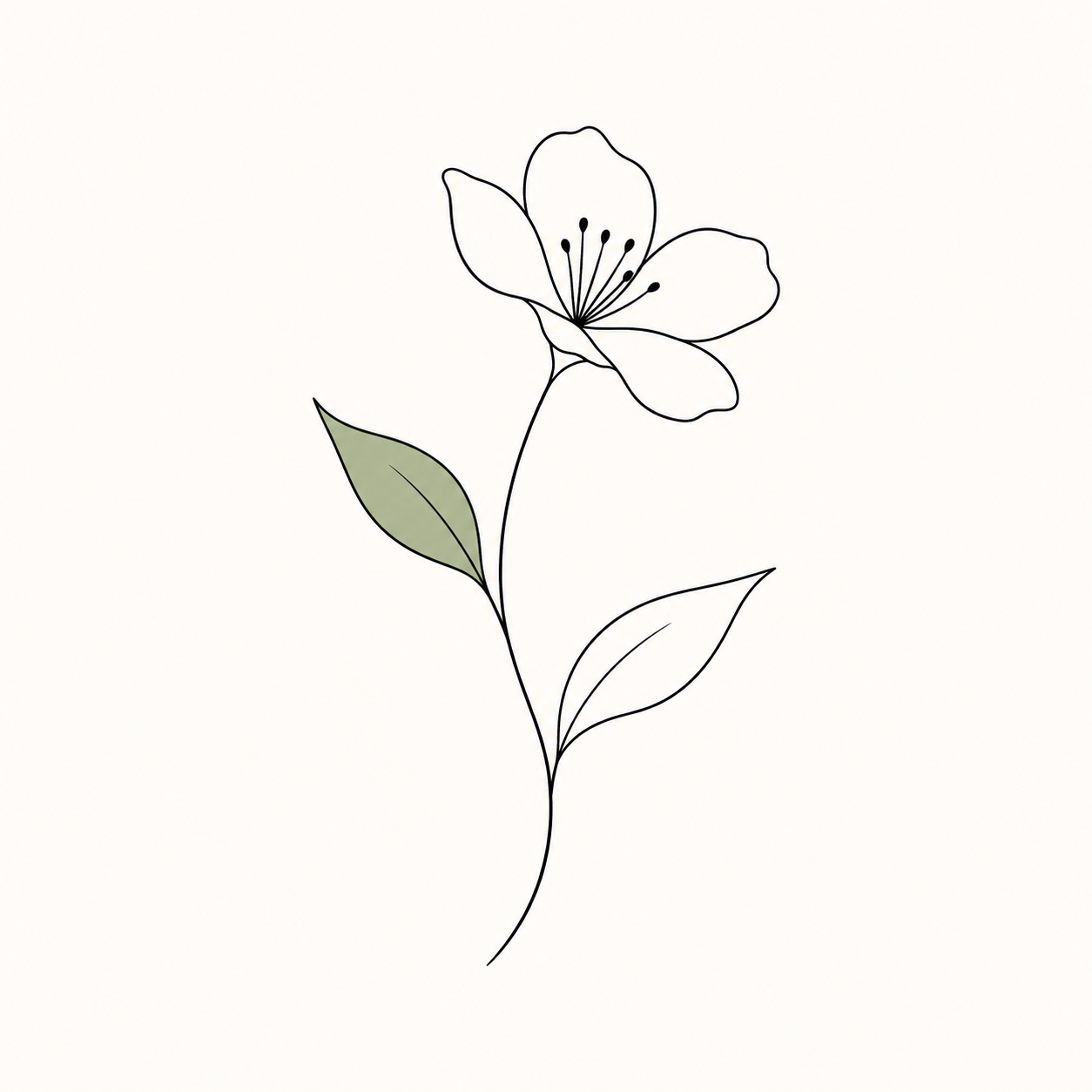 米白背景上的极简连续黑线植物插画