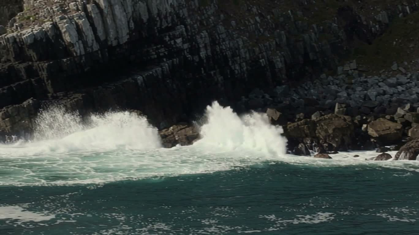 狂野海岸