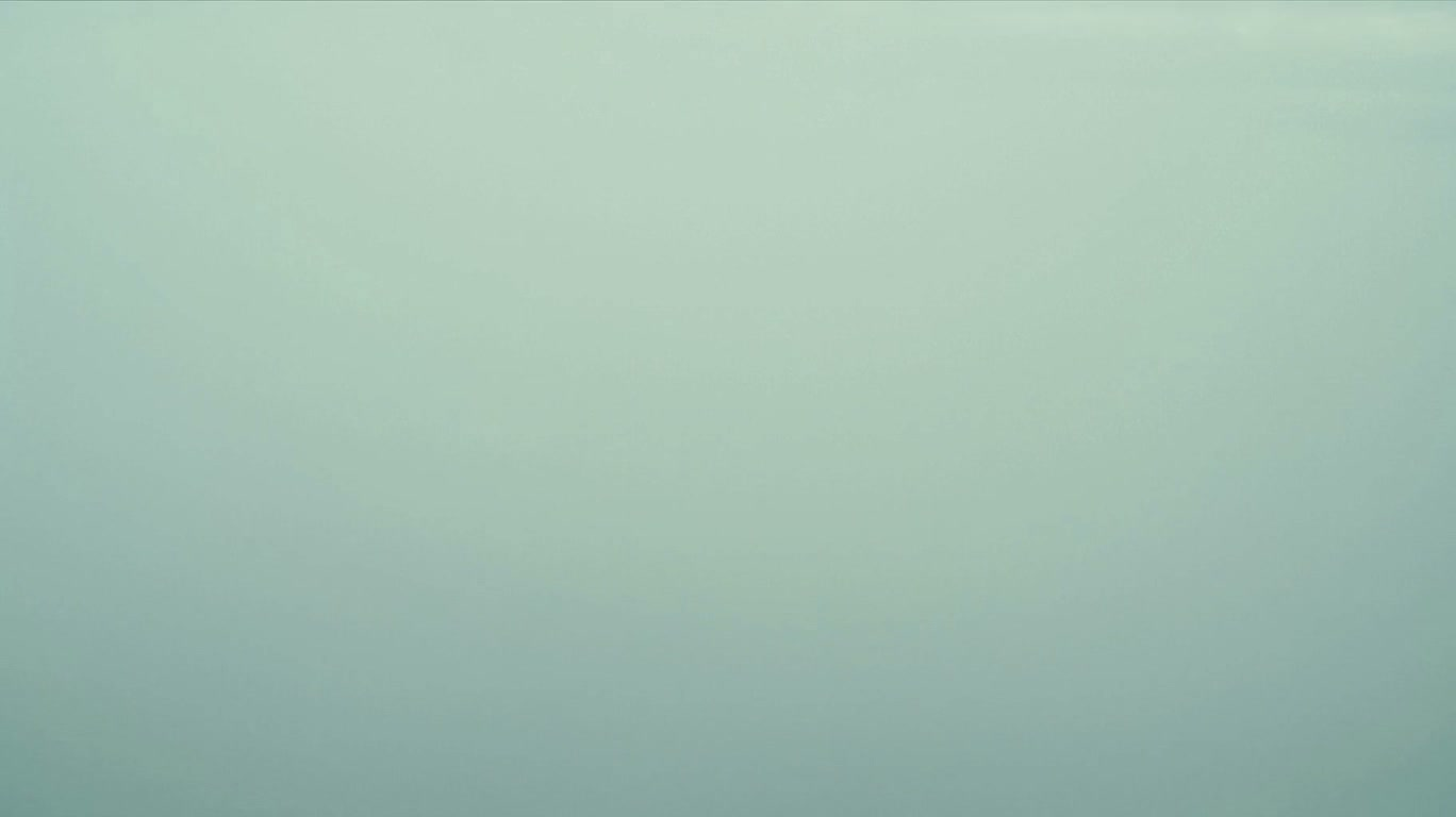 浓雾中的崎岖海岸 — AI video creation