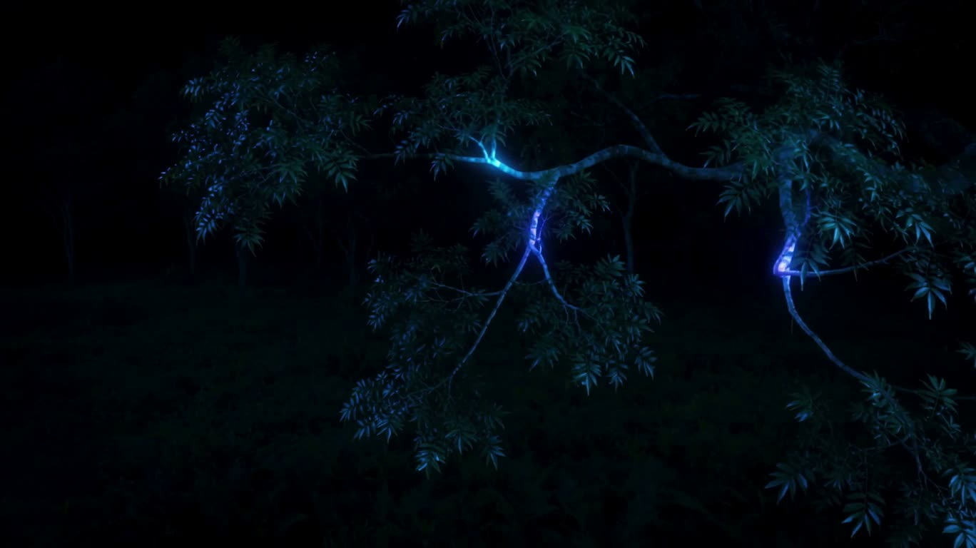 Bóng cây rừng bí ẩn neon