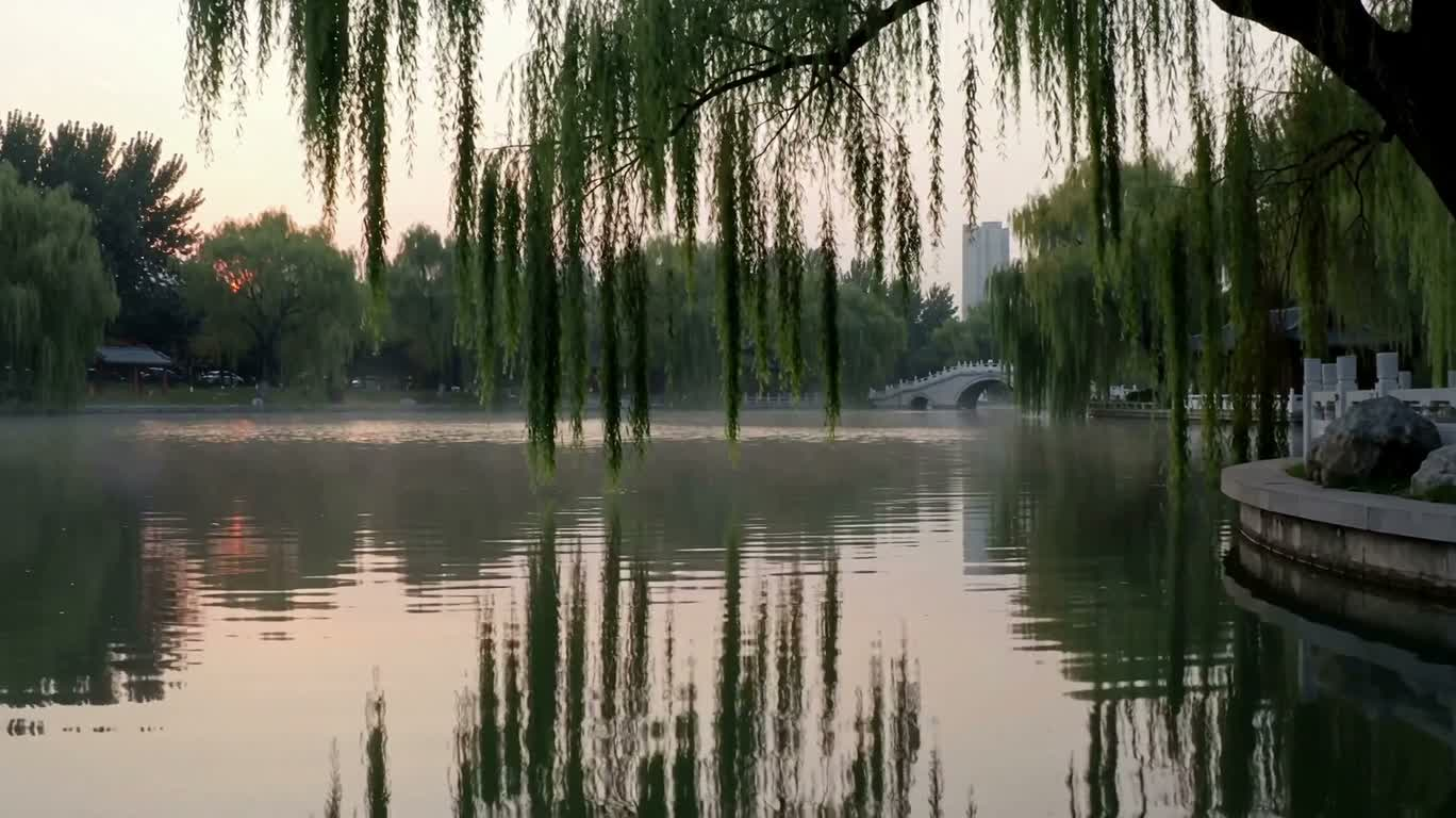 垂柳映 pond — AI video creation